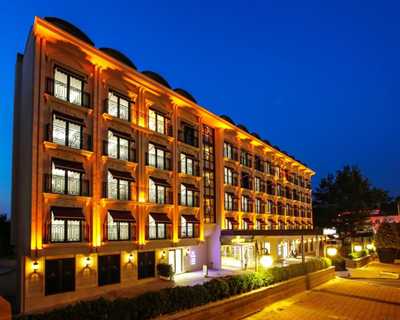 Anemon Bursa