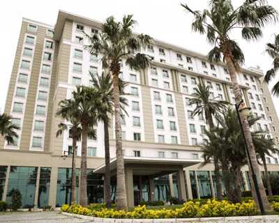 Anemon İskenderun