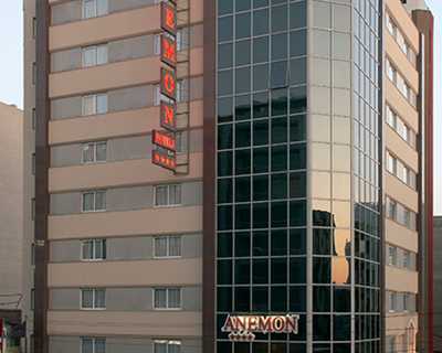 Anemon İzmir