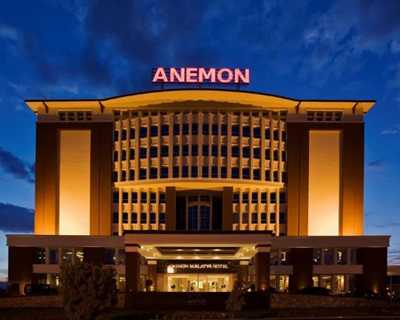 Anemon Malatya
