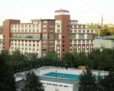Anemon Manisa