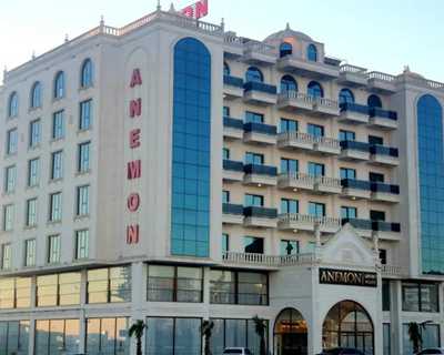 Anemon Mardin