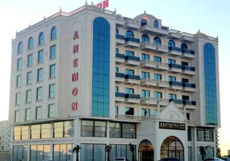 Anemon Mardin