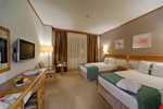 Holiday Inn Hotel Bursa