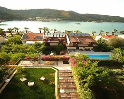Hotel Villa Daffodil