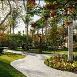 Superior Garden Room