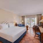 Deluxe Pool View Room