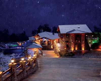 Teona Bungalov