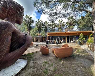 The Hill Glamping Çıralı