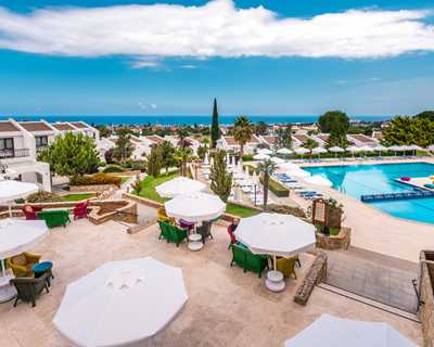 The Olive Tree Hotel