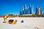 Ankara'dan Direkt Hareket Dubai Turu (Vize Dahil) Fly Dubai Hava Yolları ile 3* Arabian Park Hotel by Rotana vb.