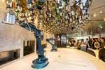 Anthem of the Seas ile 13 Gece Avustralya & Yeni Zelanda 25 Ocak 2026