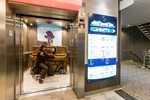 Anthem of the Seas ile 13 Gece Avustralya & Yeni Zelanda 25 Ocak 2026