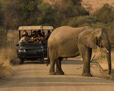 Bayramda Afrika’nın Büyük Beşlisi: Cape Town, Johannesburg, Victoria Falls, Botswana & Mauritius