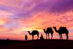 Bir Dubai Masalı 4 Gece 6 Gün Ajet Hava Yolları ile Dubai Şehir Turu ve Abra Geçişi Dahil (4* Novotel Dubai WTC vb.)