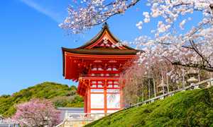 Büyük Japonya Turu All Nippon ile 6 Gece 8 Gün (Tokyo - Tokyo)