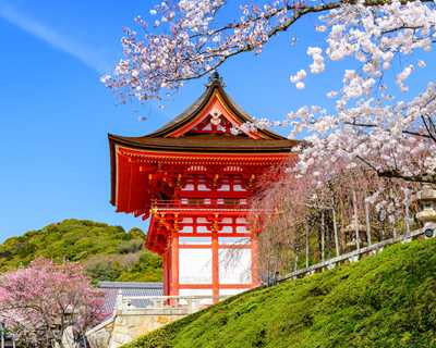 Büyük Japonya Turu (ITM - HND)