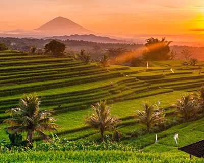 Comfort Ubud & Bali Turu Ekstra Turlar Dahil (5*Oteller)  