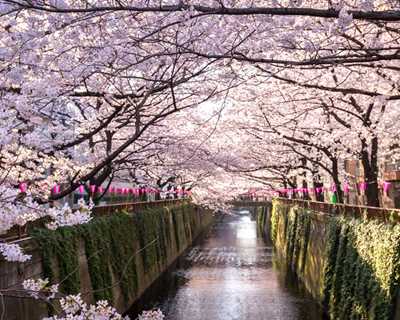 Elegant Japonya & Güney Kore Turu THY İle 9 Gece (Icn - Nrt)
