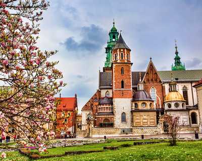 Flex Moskova Turu (4* Holiday Inn Suchevsky Hotel vb.)
