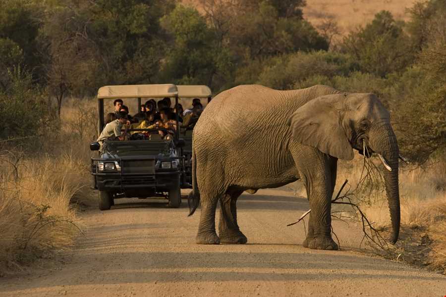 Güney Afrika Turu Touristica