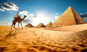 Kış Dönemi Gizemli Mısır Prestij Kahire & Aswan & Luxor & Hurghada Turu Air Cairo ile 7 Gece (CAI-HRG)