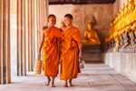 Nepal & Hindistan Buda'nın Rotası THY ile