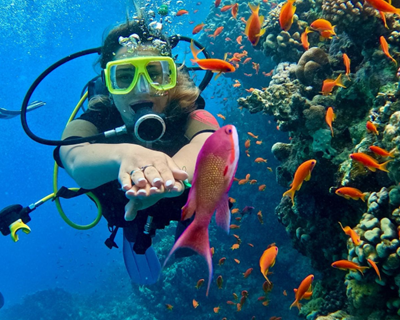 Prime Sharm El Sheikh Turu 3 Gece (4*Amphoras Aqua vb.) (Alkollü Her şey Dahil)