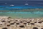 Sharm El Sheikh Turu Tailwind Havayolları ile 4 Gece (4* Turquoise Beach Hotel vb.) [Soft Herşey Dahil]