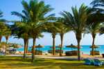 Sharm El Sheikh Turu THY ile 5 Gece 7 Gün (TK700 - TK701) 5*Pyramisa Beach Resort Hotel vb.