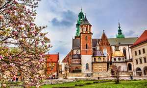 St. Petersburg & Moskova Turu 5 Gece PGS ile (LED-VKO)