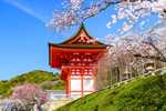 Uzak Doğu'nun Güneşi ve Çiçeği ''Japonya ve Güney Kore'' Qatar Hy ile 